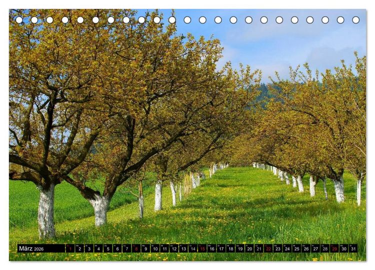 Produktbild: Die Wachau - An der Donau zwischen Melk und Krems (Tischkalender 2026 DIN A5 quer), CALVENDO Monatskalender