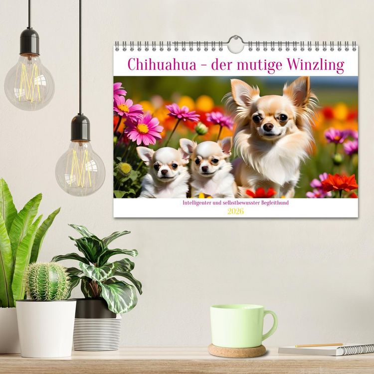 Produktbild: Chihuahua - der mutige Winzling (Wandkalender 2026 DIN A4 quer), CALVENDO Monatskalender