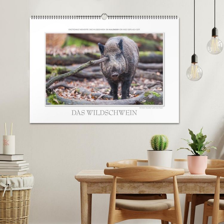 Produktbild: Emotionale Momente: Das Wildschwein. (Wandkalender 2026 DIN A2 quer), CALVENDO Monatskalender
