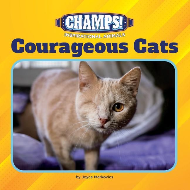 Produktbild: Courageous Cats