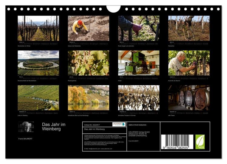 Produktbild: Das Jahr im Weinberg (Wandkalender 2026 DIN A4 quer), CALVENDO Monatskalender