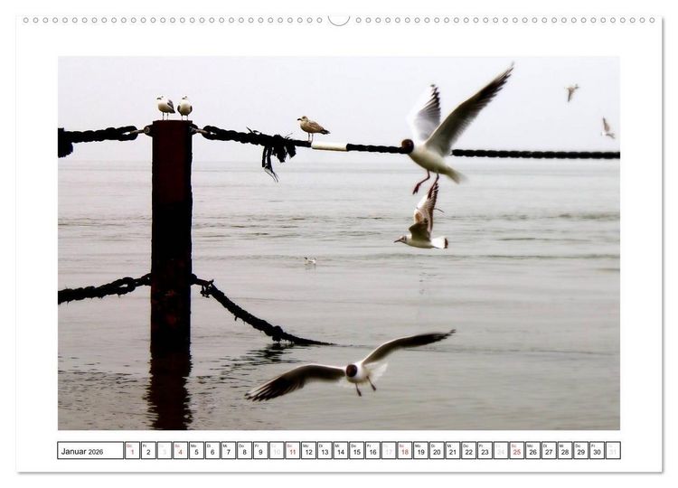 Produktbild: Nordseefeeling - Cuxhaven (hochwertiger Premium Wandkalender 2026 DIN A2 quer), Kunstdruck in Hochglanz