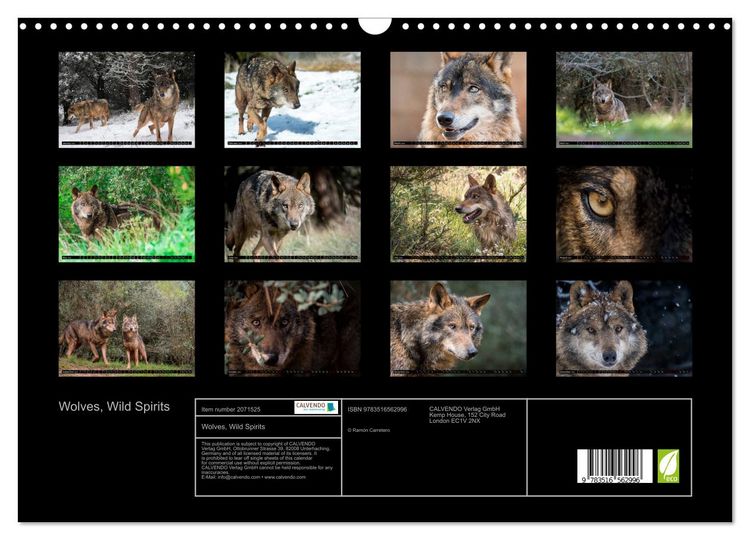 Produktbild: Wolves, Wild Spirits (Wall Calendar 2026 DIN A3 landscape), CALVENDO 12 Month Wall Calendar