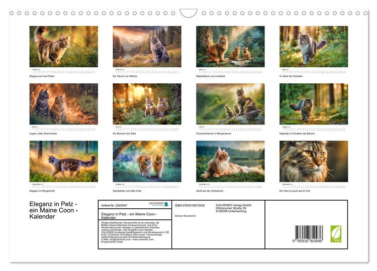 Produktbild: Eleganz in Pelz - ein Maine Coon - Kalender (Wandkalender 2027 DIN A3 quer), CALVENDO Monatskalender