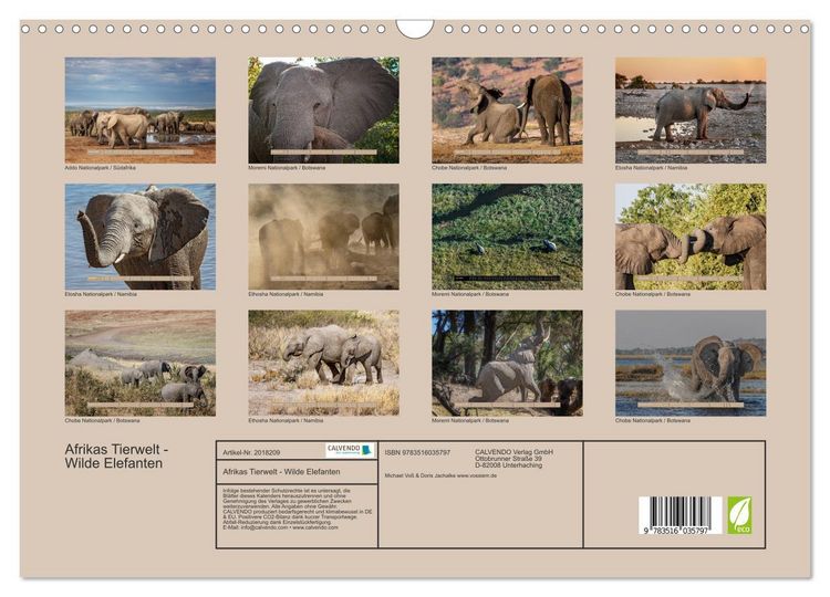 Produktbild: Afrikas Tierwelt - Wilde Elefanten (Wandkalender 2026 DIN A3 quer), CALVENDO Monatskalender