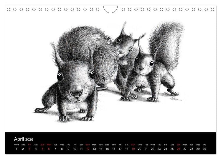 Produktbild: owls & friends 2026 (Wall Calendar 2026 DIN A4 landscape), CALVENDO 12 Month Wall Calendar