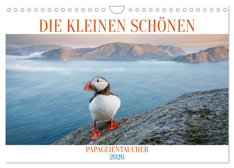 Produktbild: Die kleinen sch&ouml;nen (Wandkalender 2026 DIN A4 quer), CALVENDO Monatskalender