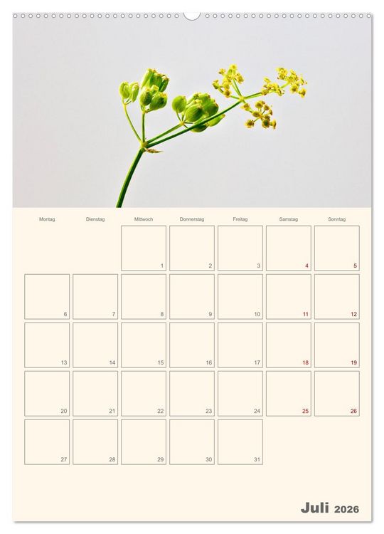 Produktbild: Blumenmetamorphosen (Wandkalender 2026 DIN A2 hoch), CALVENDO Monatskalender