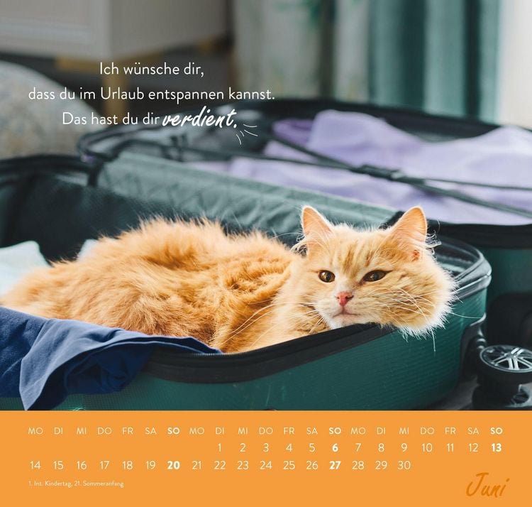 Produktbild: Wandkalender 2027: Einfach mal abh&auml;ngen