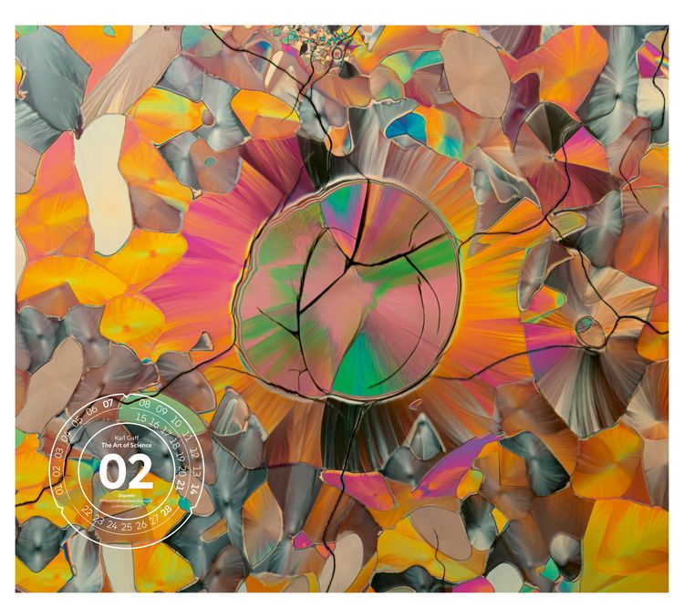 Produktbild: The Art of Science Kalender 2027 | Faszinierend-irisierende Mikroskopkunst