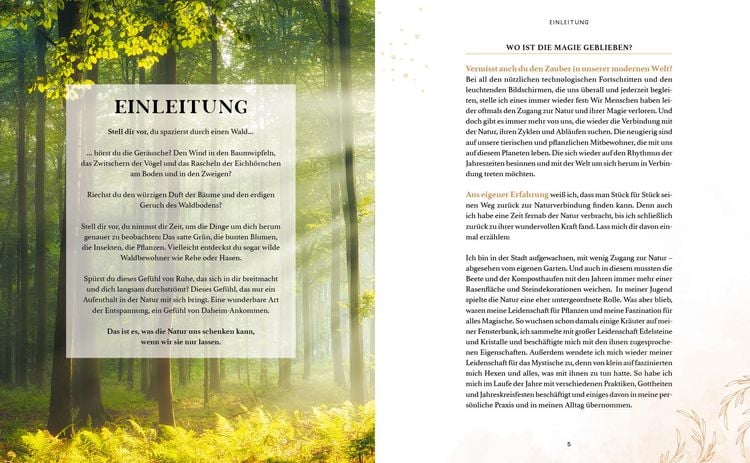 Produktbild: Zaubernuss und Waldmagie &ndash; Naturmomente f&uuml;r deine Seele
