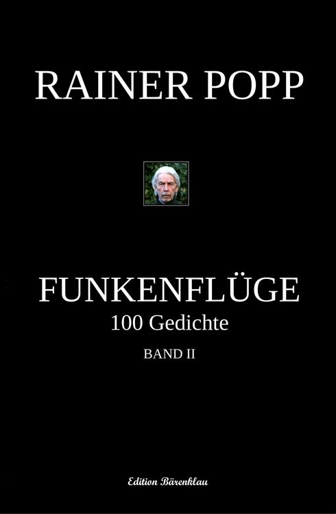 Produktbild: Funkenfl&uuml;ge: 100 Gedichte, Band 2