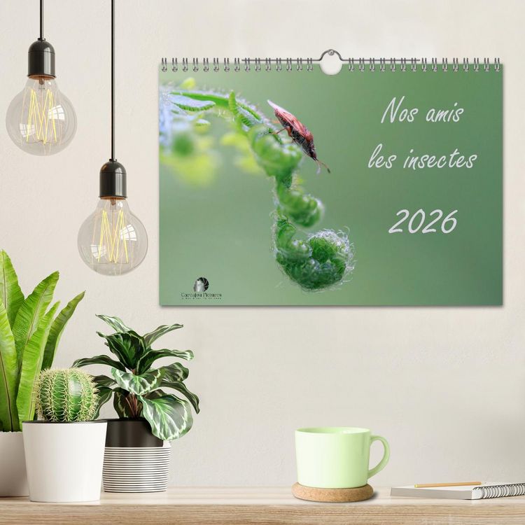 Produktbild: Nos amis les insectes (Calendrier mural 2026 DIN A4 vertical), CALVENDO calendrier mensuel