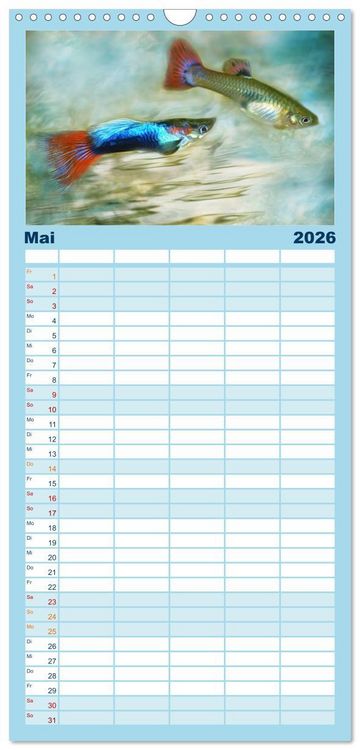 Produktbild: Familienplaner 2026 - Fischwelt - Artwork mit 5 Spalten (Wandkalender, 21 x 45 cm) CALVENDO