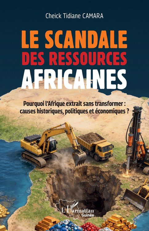 Produktbild: Le scandale des ressources africaines