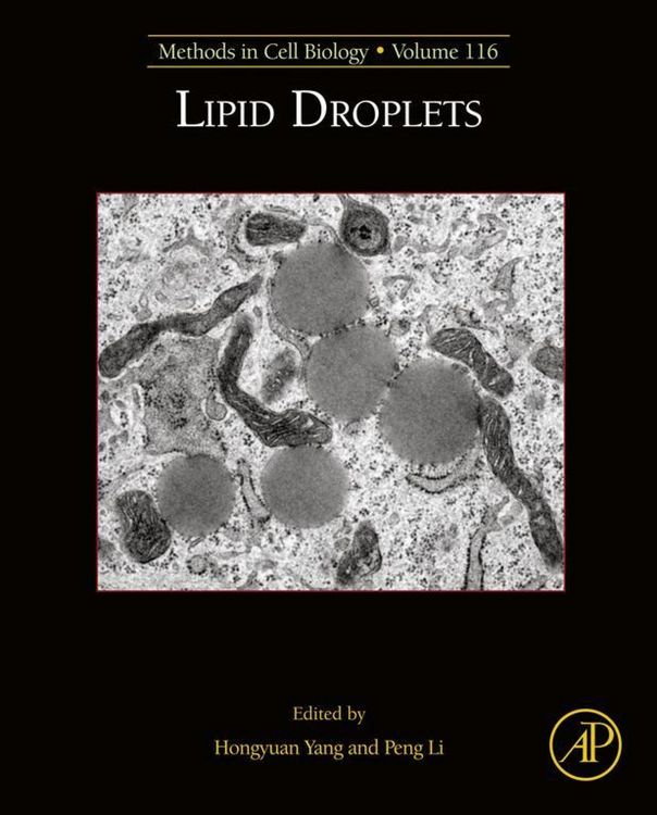 Produktbild: Lipid Droplets
