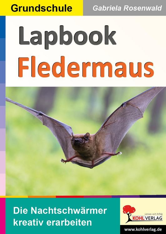 Produktbild: Lapbook Fledermaus