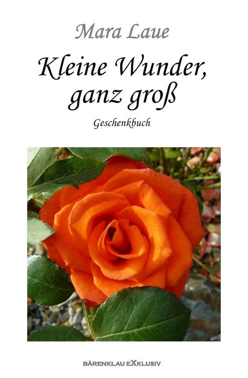 Produktbild: Kleine Wunder, ganz gro&szlig; &ndash; Ein Geschenkbuch