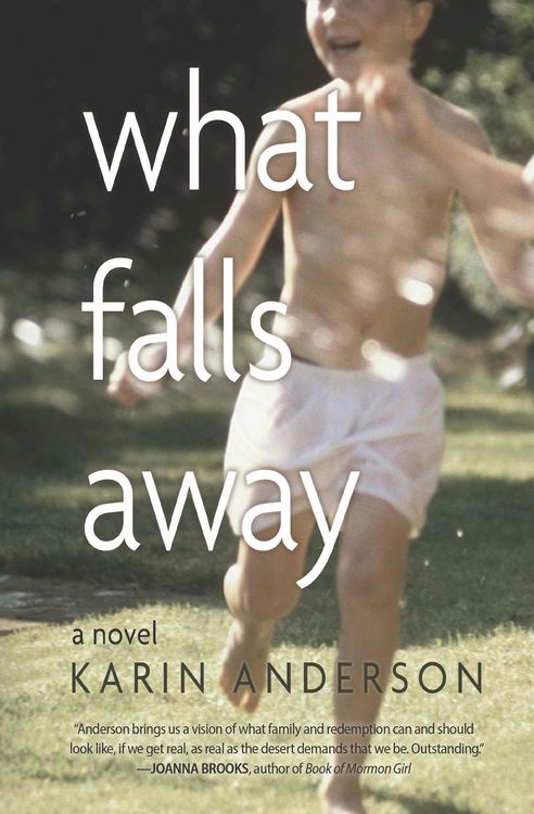 Produktbild: What Falls Away