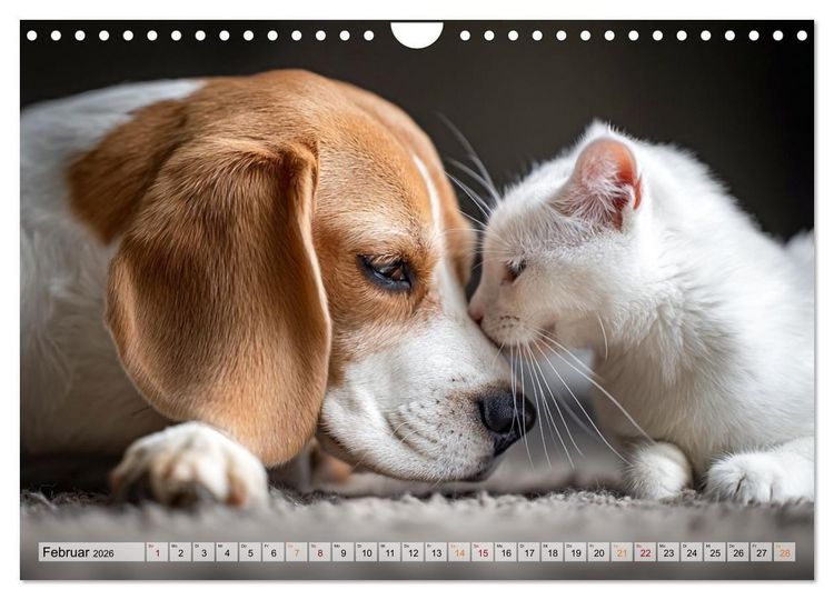 Produktbild: Hund und Katze - Tierische Freunde (Wandkalender 2026 DIN A4 quer), CALVENDO Monatskalender