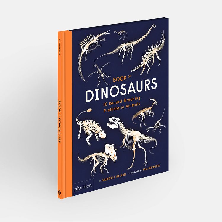 Produktbild: Book of Dinosaurs
