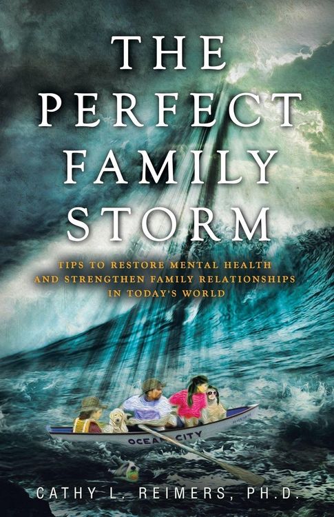 Produktbild: The Perfect Family Storm