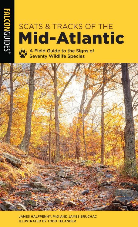 Produktbild: Scats and Tracks of the Mid-Atlantic