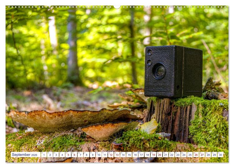 Produktbild: Alte Fotoapparate, Augenzeugen der Zeit (hochwertiger Premium Wandkalender 2026 DIN A2 quer), Kunstdruck in Hochglanz