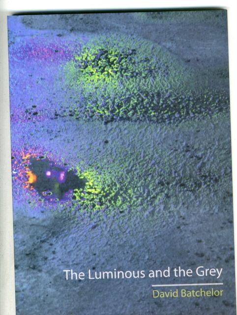 Produktbild: The Luminous and the Grey