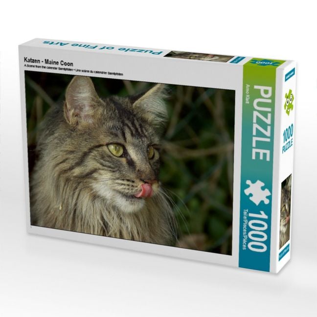 Produktbild: CALVENDO Puzzle Katzen - Maine Coon | 1000 Teile Lege-Gr&ouml;&szlig;e 64x48cm Foto-Puzzle f&uuml;r gl&uuml;ckliche Stunden