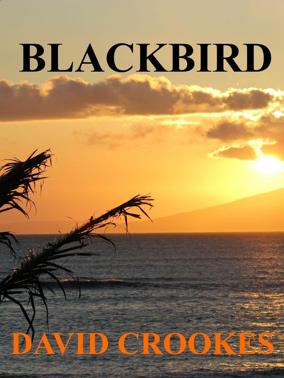 Produktbild: Blackbird