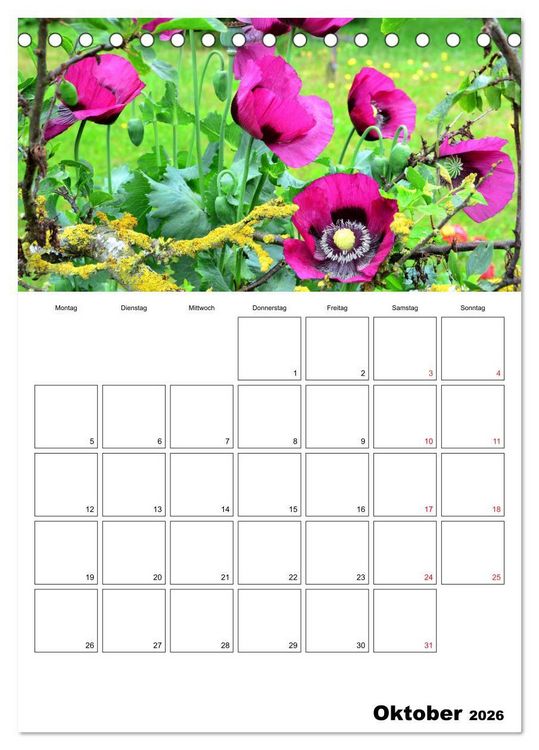 Produktbild: Langeoog - eine Trauminsel (Tischkalender 2026 DIN A5 hoch), CALVENDO Monatskalender