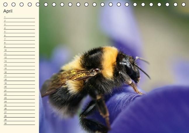 Produktbild: Geburtstagskalender "Nette Kleinigkeiten" (Tischkalender immerw&auml;hrend DIN A5 quer)