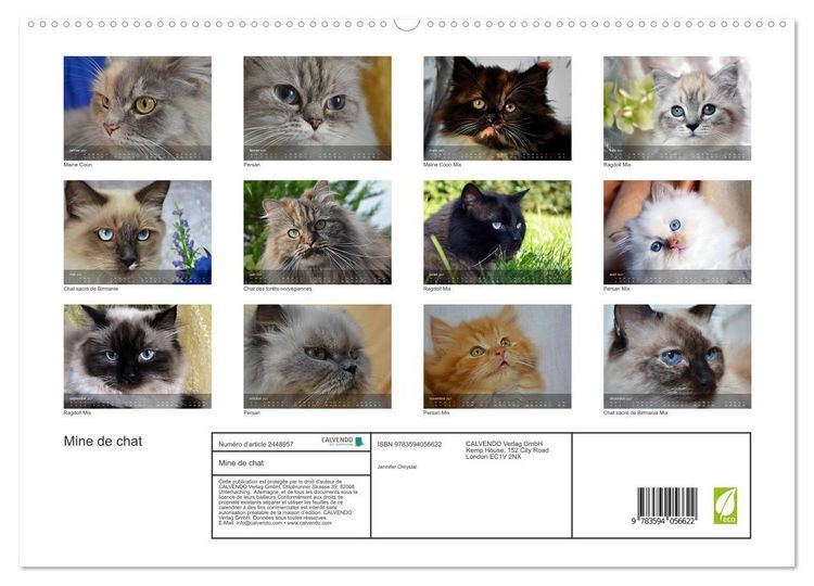 Produktbild: Mine de chat (Calendrier mural haut de gamme 2027 DIN A2 vertical), CALVENDO calendrier mensuel