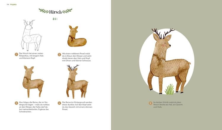 Produktbild: Watercolor &ndash;&nbsp;Wilder Wald