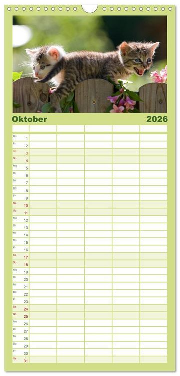 Produktbild: Familienplaner 2026 - L&auml;chelnd durchs Jahr - Katzenkinder -Familienplaner hoch mit 5 Spalten (Wandkalender, 21 x 45 cm) CALVENDO
