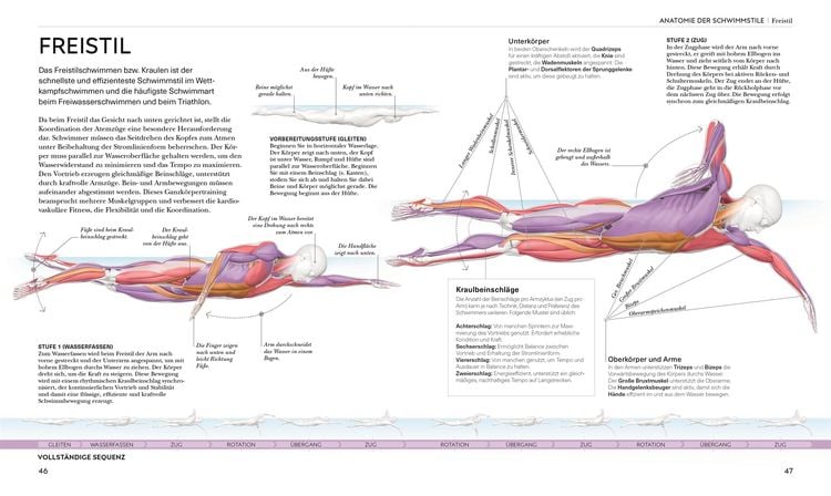 Produktbild: Schwimmen - Die Anatomie verstehen