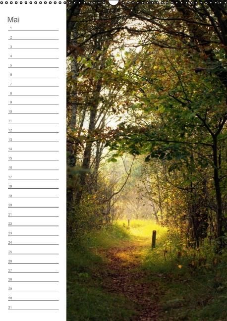 Produktbild: Malerisches Teufelsmoor (Wandkalender immerw&auml;hrend DIN A2 hoch)