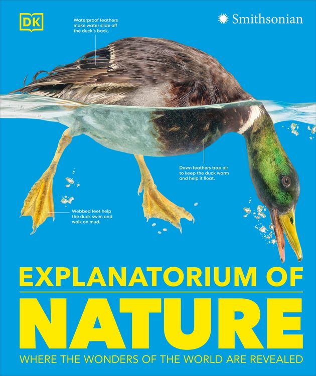 Produktbild: Explanatorium of Nature