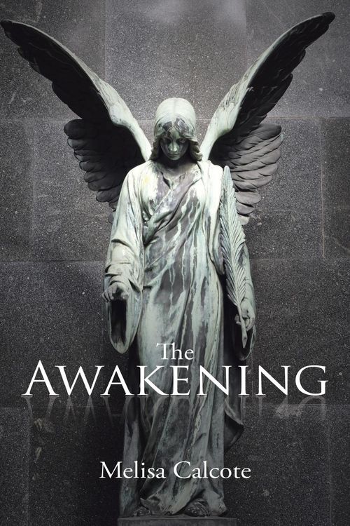 Produktbild: The Awakening