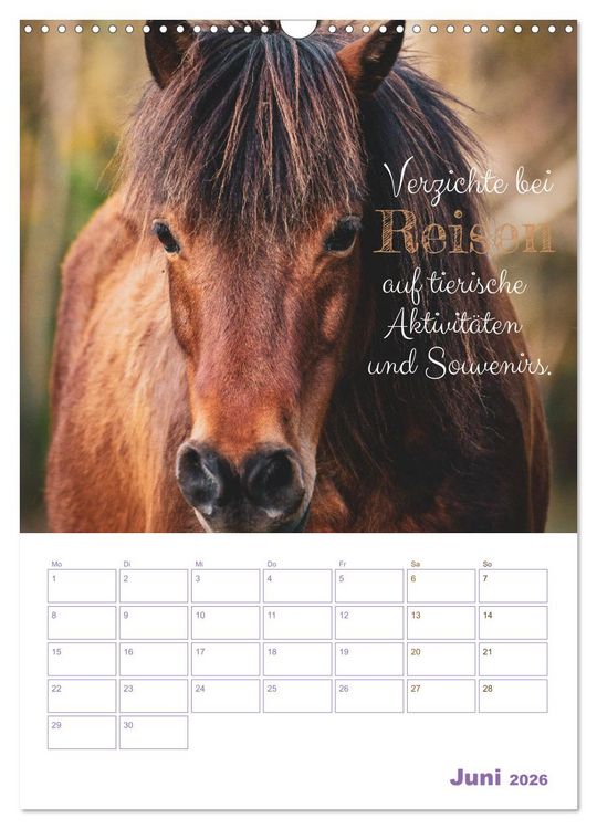 Produktbild: Tierische Challenges: F&uuml;r mehr Bewusstsein und mehr Tierschutz (Wandkalender 2026 DIN A3 hoch), CALVENDO Monatskalender
