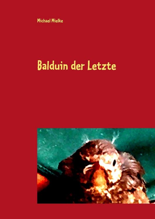 Produktbild: Balduin der Letzte
