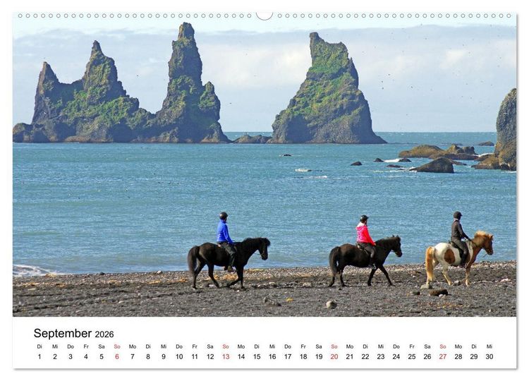 Produktbild: Die Pferde Islands - Ein Streifzug durch Island (Wandkalender 2026 DIN A2 quer), CALVENDO Monatskalender