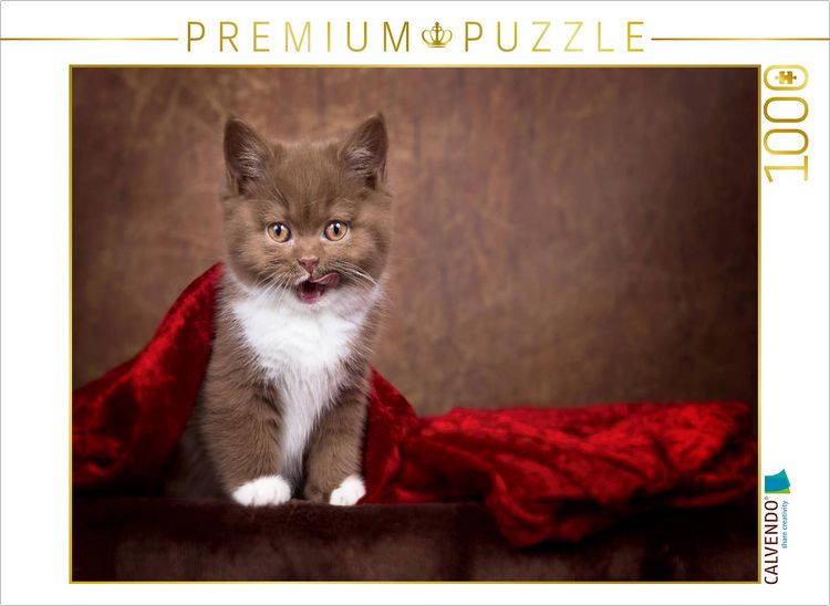 Produktbild: CALVENDO Puzzle Ein Motiv aus dem Kalender Kittens - Britisch Kurzhaar Katzenkinder | 1000 Teile Lege-Gr&ouml;&szlig;e 64x48cm Foto-Puzzle f&uuml;r gl&uuml;ckliche Stunden