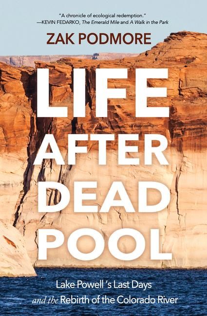 Produktbild: Life After Dead Pool