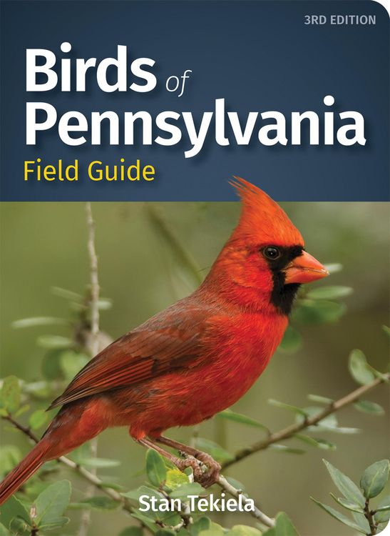 Produktbild: Birds of Pennsylvania Field Guide
