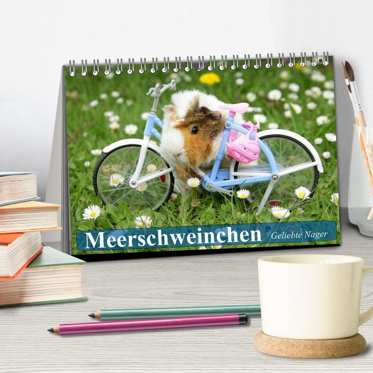Produktbild: Meerschweinchen. Geliebte Nager (Tischkalender 2026 DIN A5 quer), CALVENDO Monatskalender