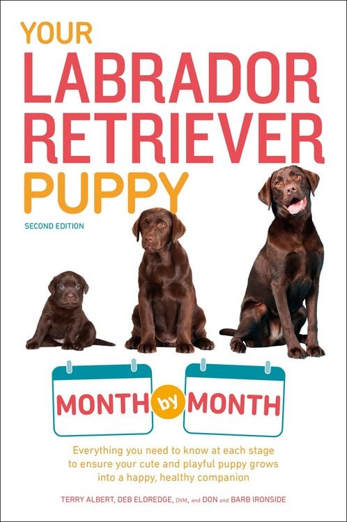 Produktbild: Your Labrador Retriever Puppy Month by Month, 2nd Edition