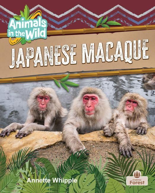 Produktbild: Japanese Macaque