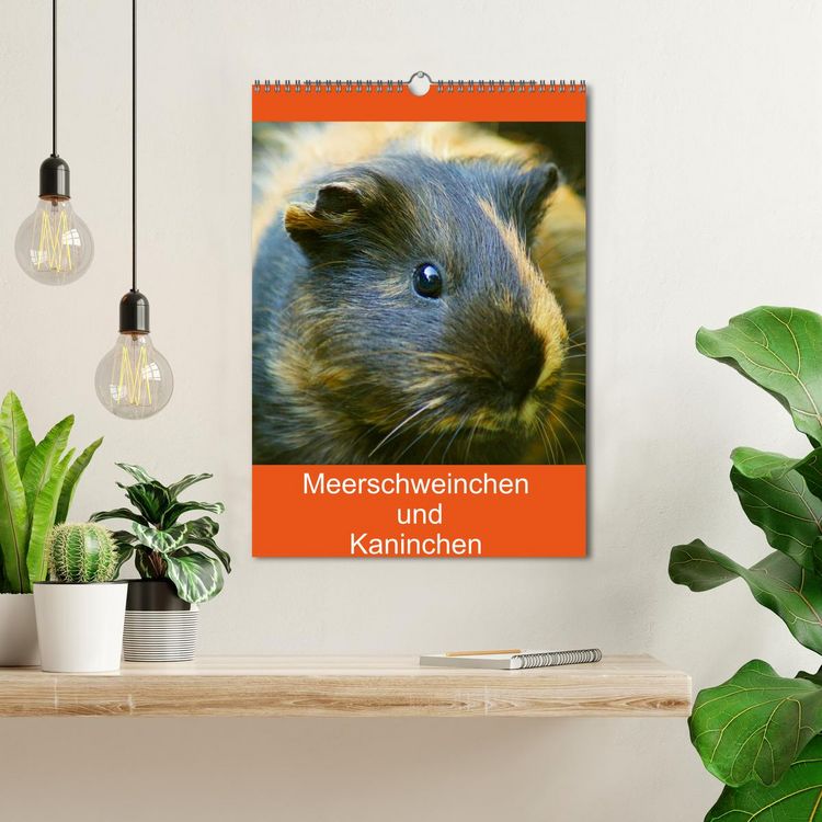 Produktbild: Meerschweinchen und Kaninchen Familienplaner (Wandkalender 2026 DIN A3 hoch), CALVENDO Monatskalender